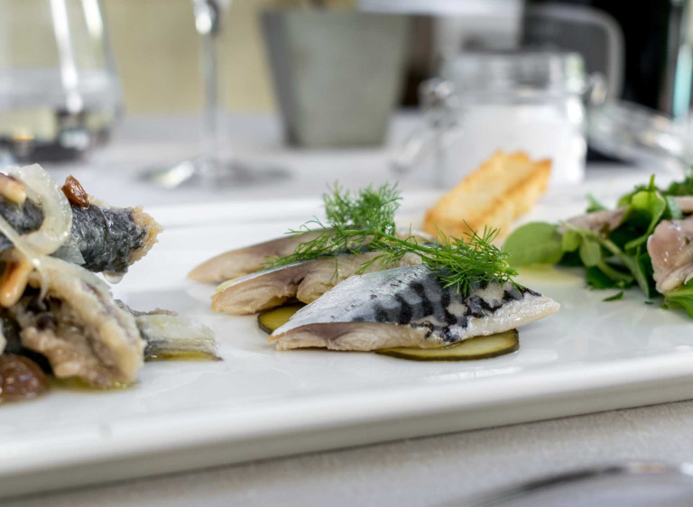 media.DSC_0086-FILEminimizer (1) (FILEminimizer)