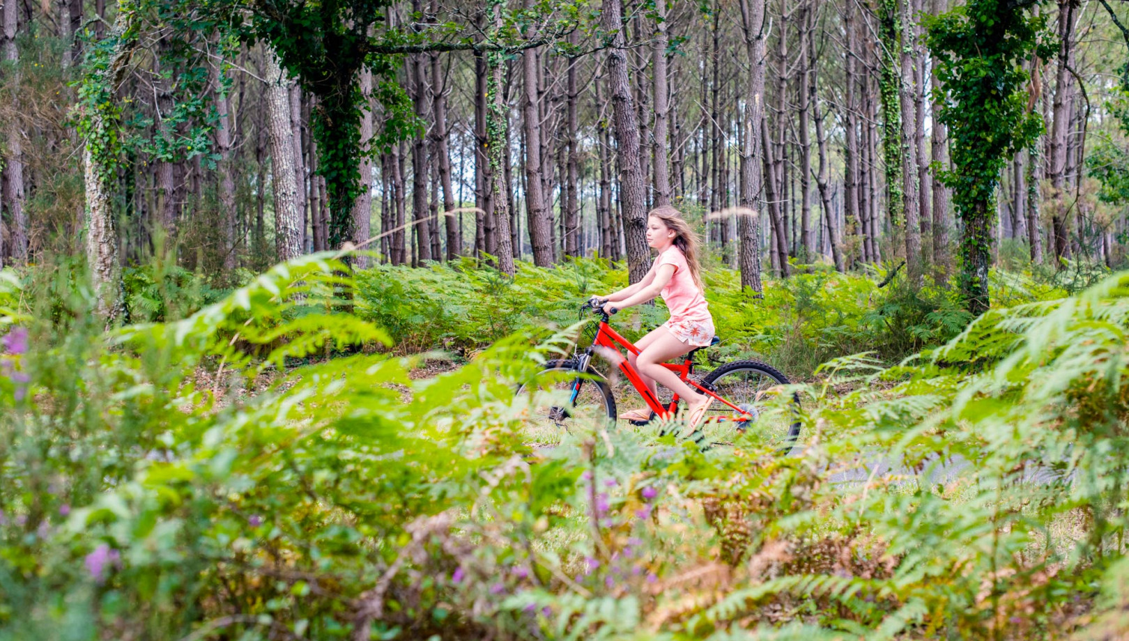 media.Slide-Servizi7HotelRistoranteLaTavernetta