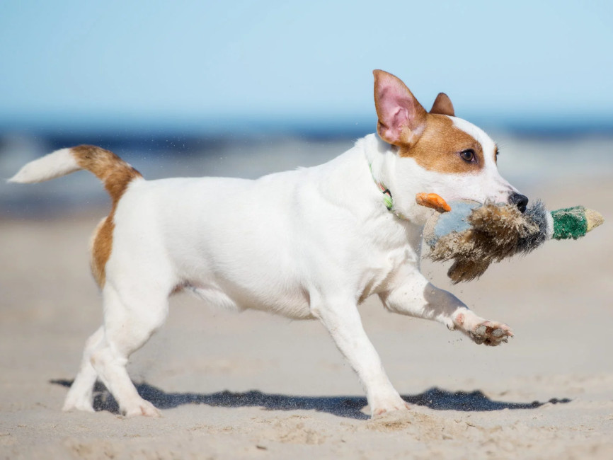 media.Slide-Servizi4HotelRistoranteLaTavernetta